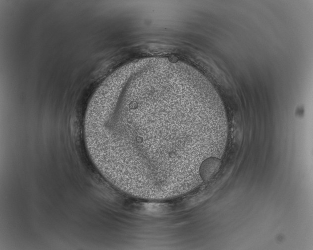 X0000116810371201001081400
