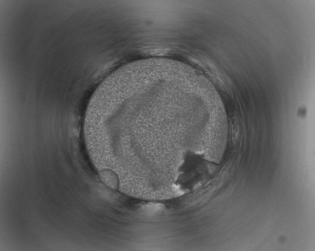 X0000116810374201001081400