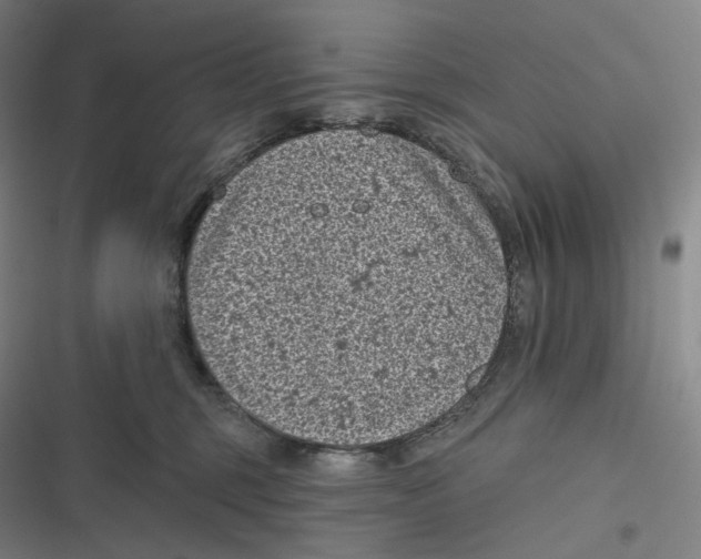 X0000116810375201001081400