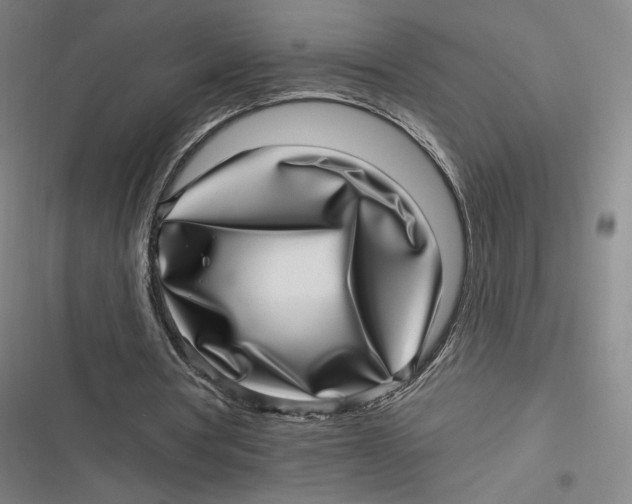 X0000116810386201001081400