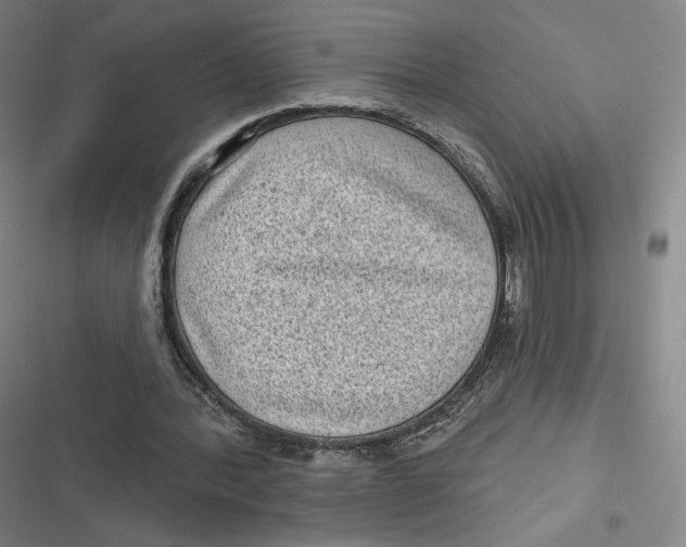 X0000116810388201001081400