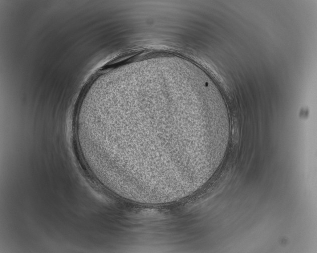 X0000116810390201001081400