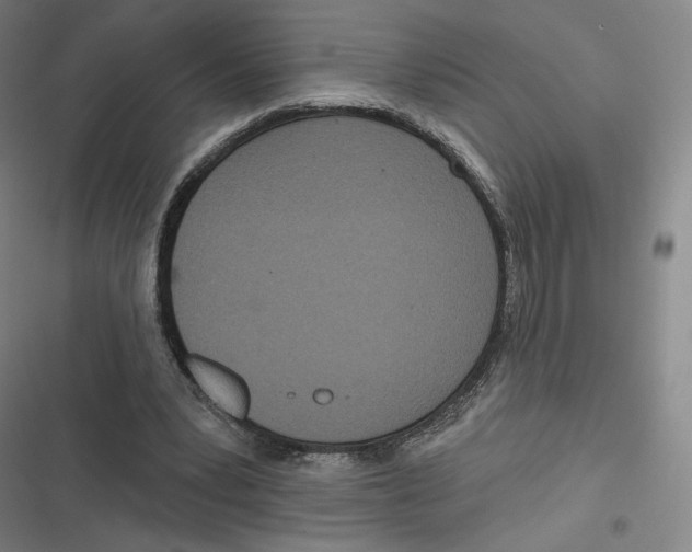 X0000116810391201001081400