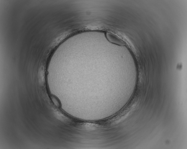 X0000116810393201001081400