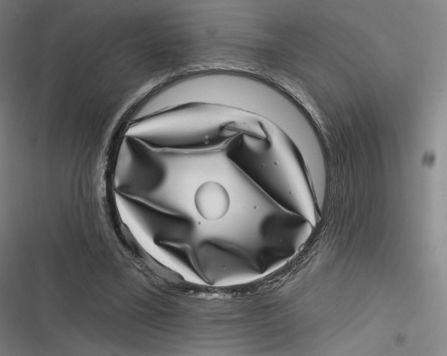 X0000116810395201001081400