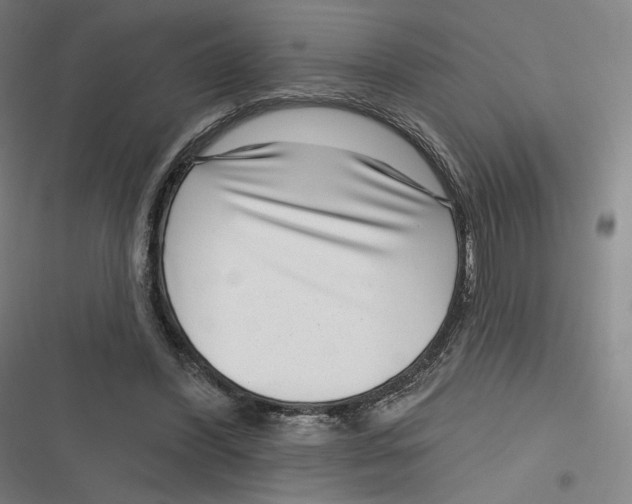 X0000116810396201001081400