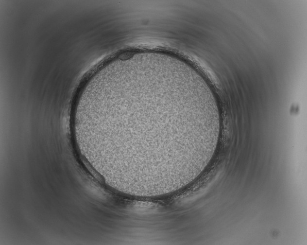 X0000116810399201001081400