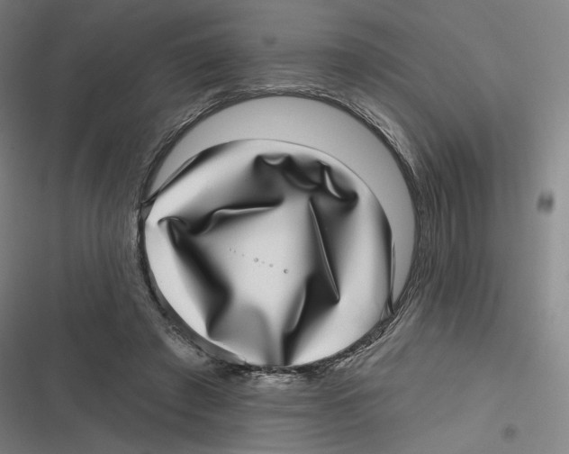 X0000116810401201001081359