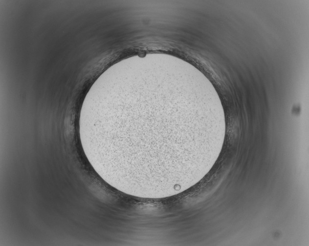 X0000116810402201001081359