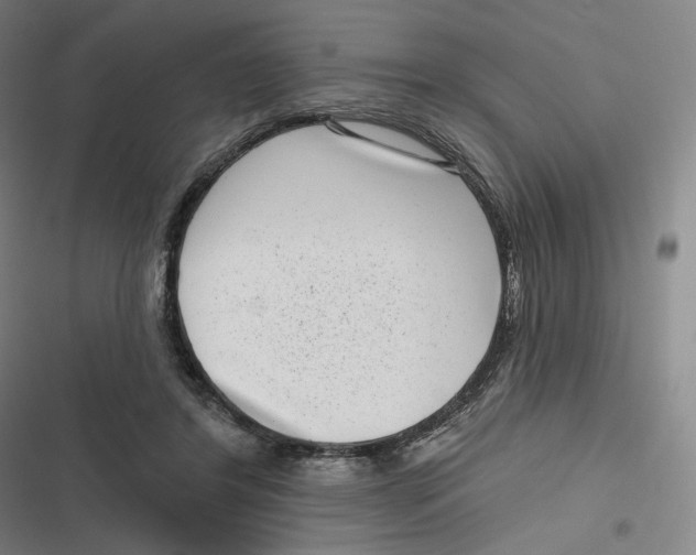 X0000116810404201001081359