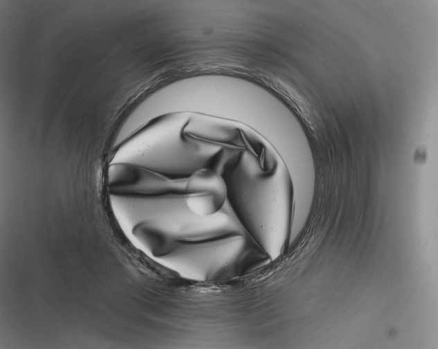 X0000116810405201001081359