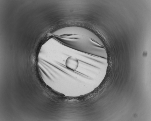 X0000116810407201001081359