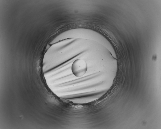 X0000116810409201001081359