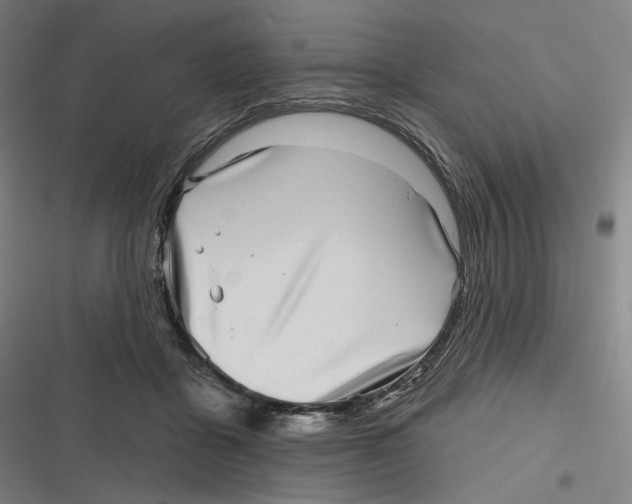 X0000116810411201001081359