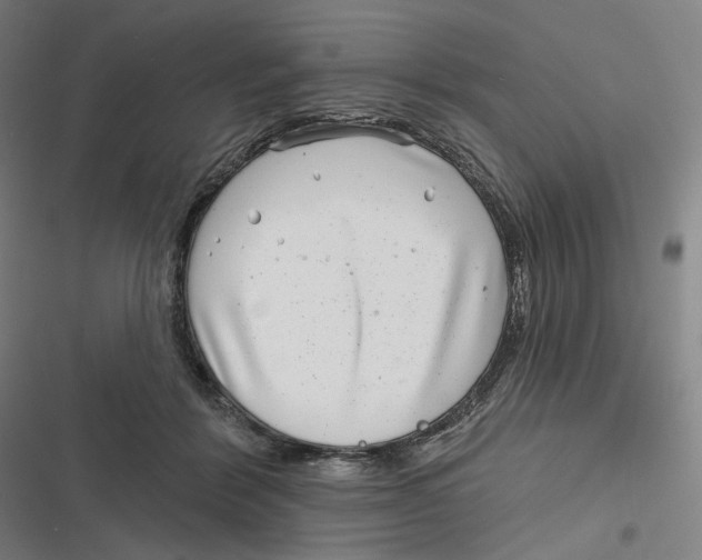 X0000116810412201001081359