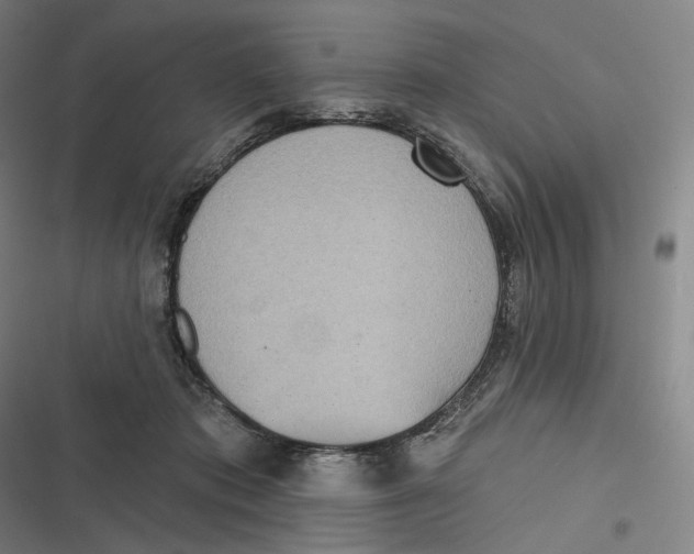 X0000116810413201001081359