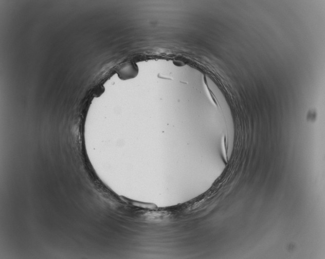 X0000116810415201001081359