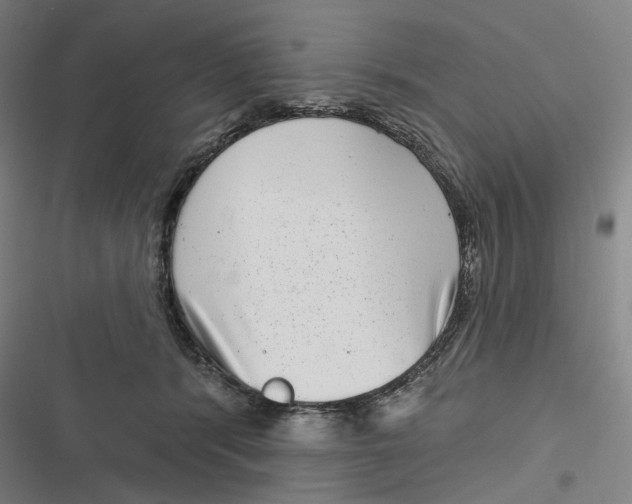 X0000116810416201001081359