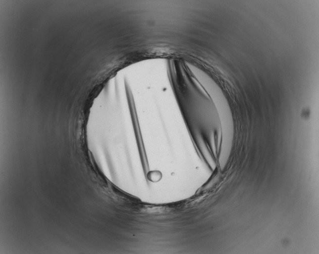 X0000116810417201001081359