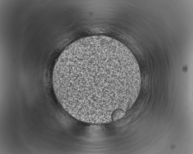 X0000116810418201001081359