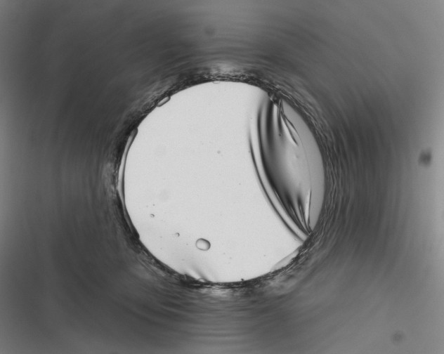 X0000116810419201001081359