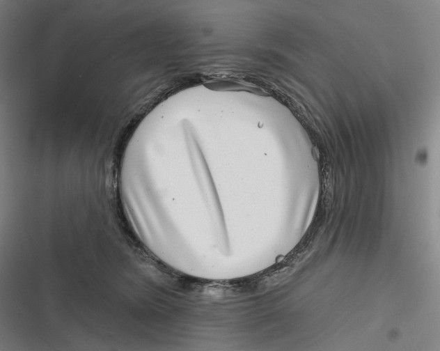 X0000116810420201001081359