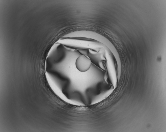 X0000116810421201001081359