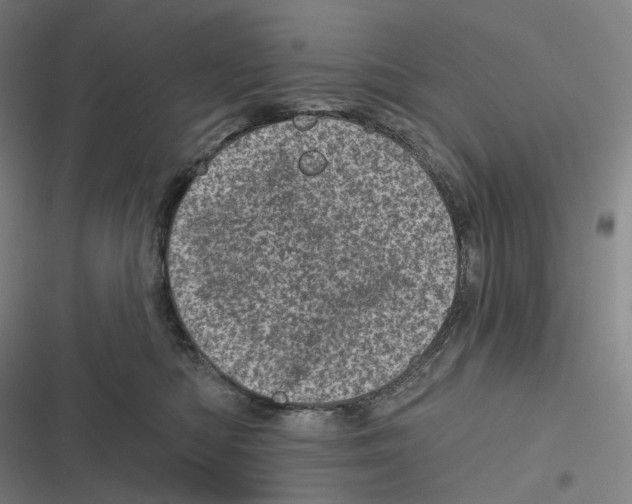 X0000116810422201001081359