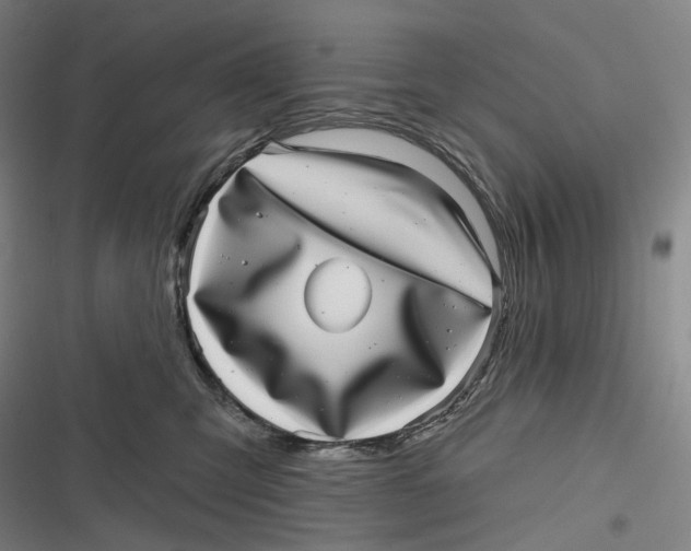 X0000116810423201001081359
