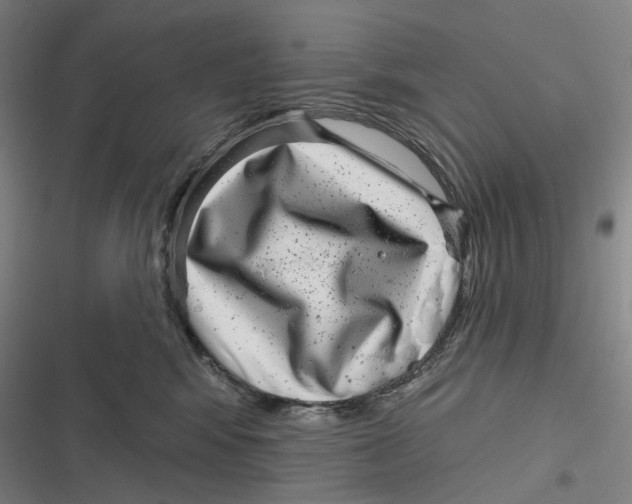 X0000116810424201001081359