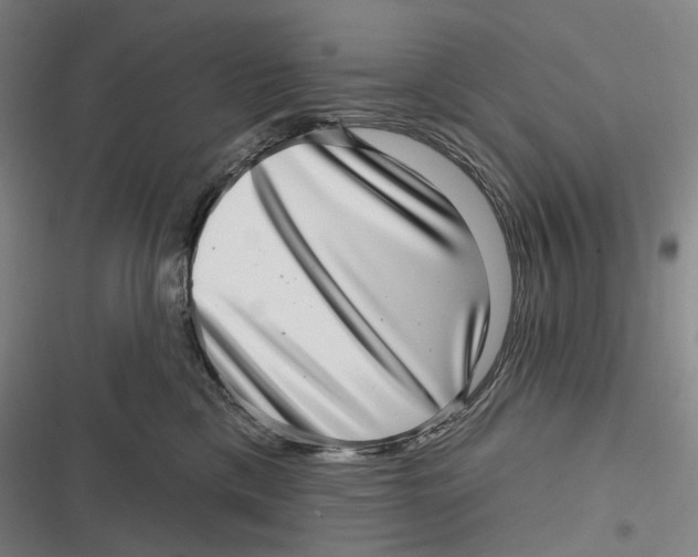 X0000116810425201001081359
