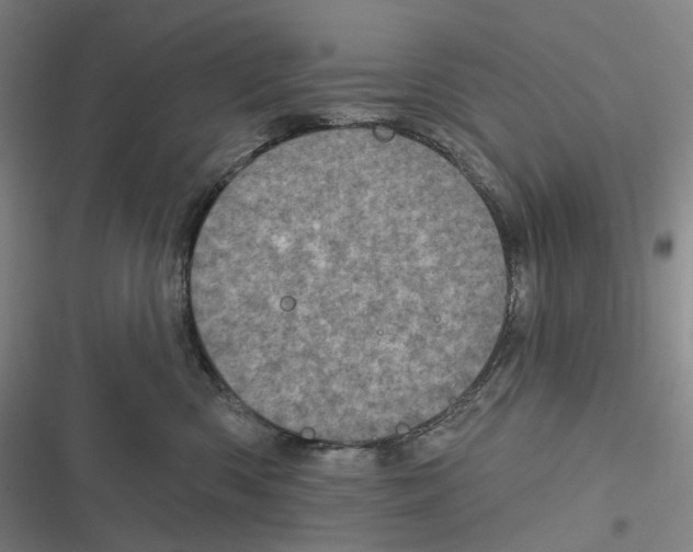 X0000116810426201001081359