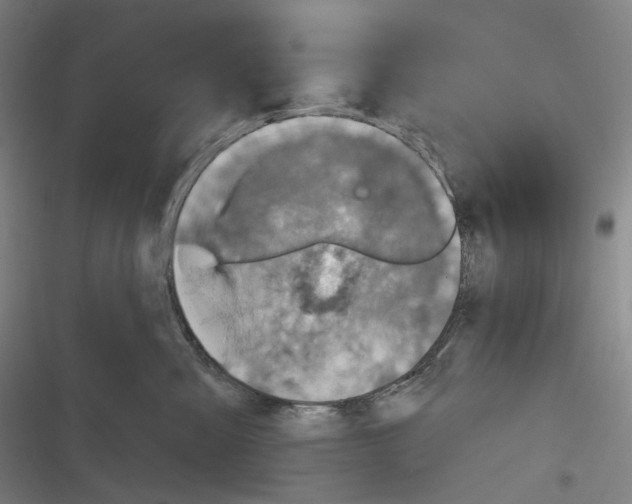 X0000116810427201001081359