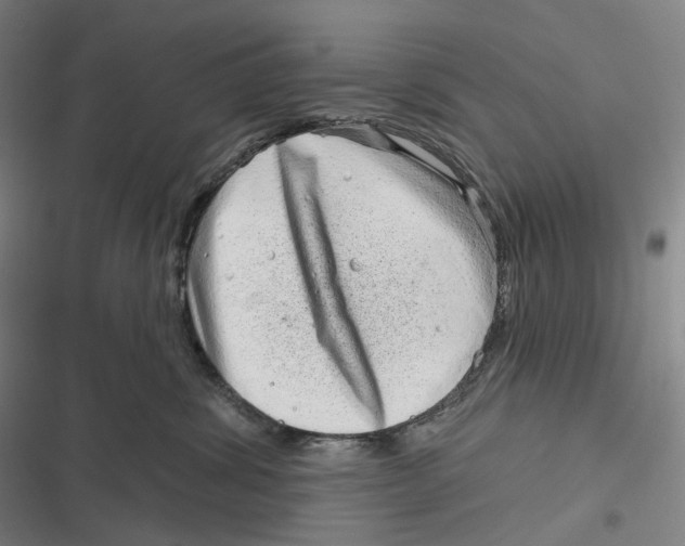 X0000116810428201001081359