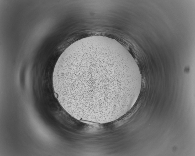 X0000116810429201001081359