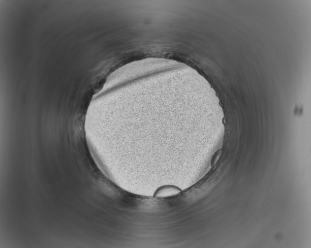 X0000116810432201001081359