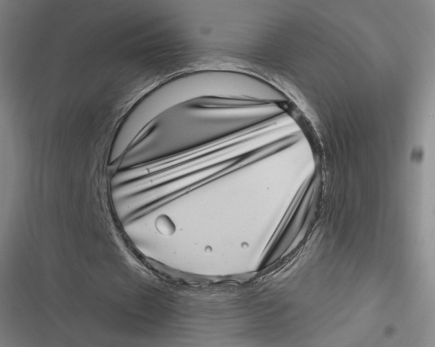 X0000116810433201001081358