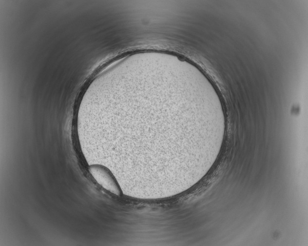X0000116810434201001081358