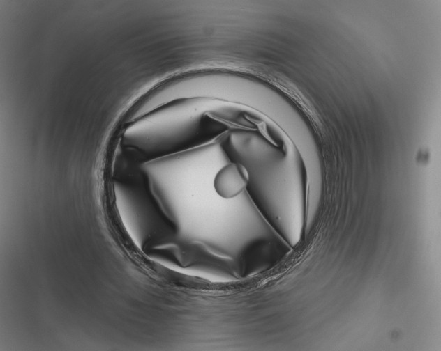 X0000116810436201001081358