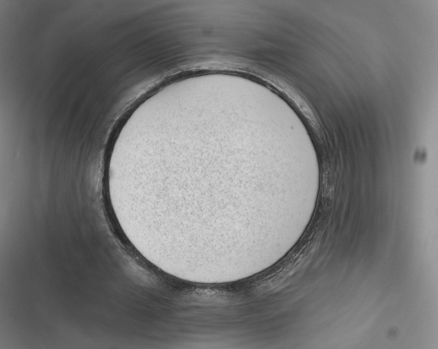 X0000116810437201001081358