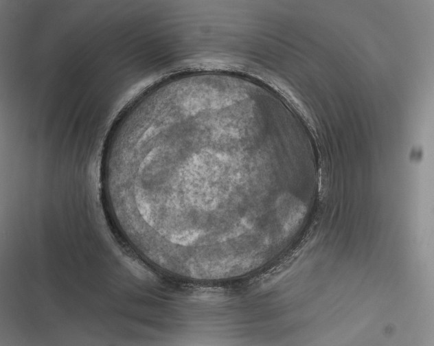 X0000116810438201001081358