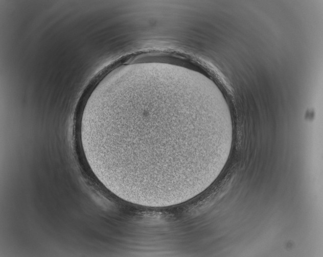 X0000116810439201001081358