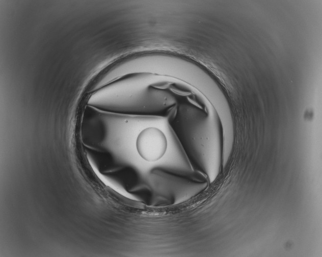 X0000116810440201001081358