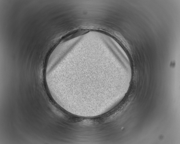 X0000116810441201001081359