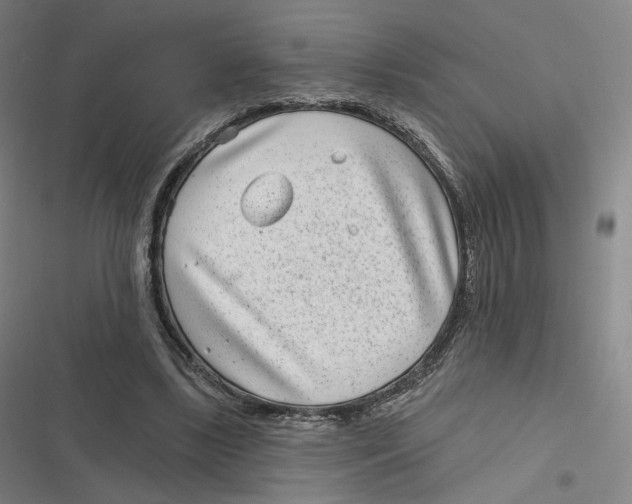 X0000116810443201001081359