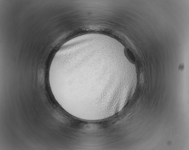 X0000116810444201001081359