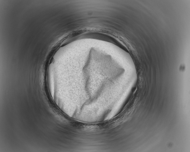 X0000116810446201001081359
