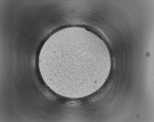 X0000116810447201001081359