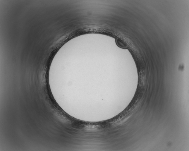 X0000116810450201001081359