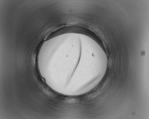 X0000116810454201001081359